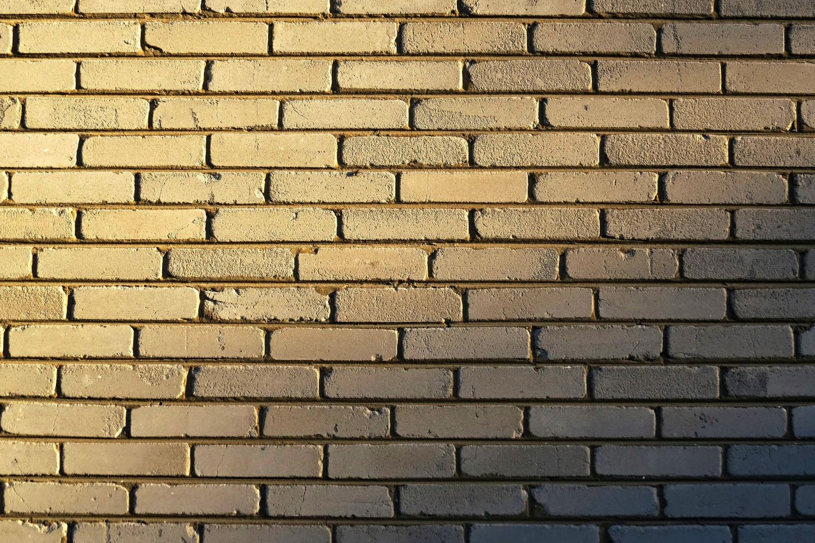 Building a Solid Foundation in AI: A Step-by-Step Tutorial - AIinActionHub